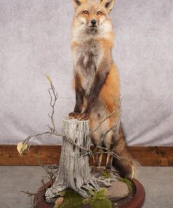 Fox Mounts