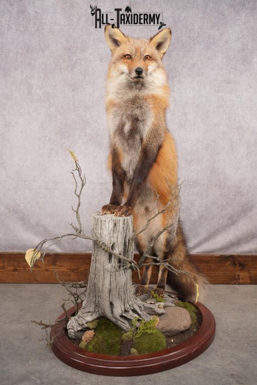 Fox Mounts