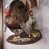 buy turkey mounts online