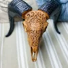 Hand Carved Ram Skull Mount